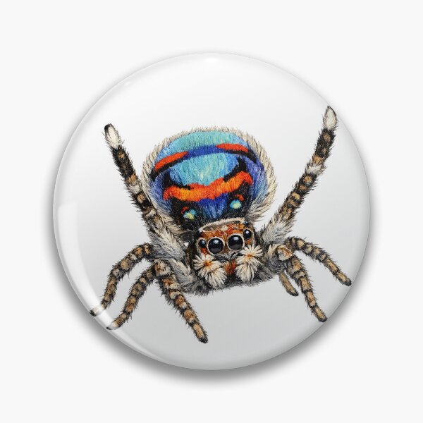 Item preview, Male Peacock Spider Illustration designed and sold by Jaruart.