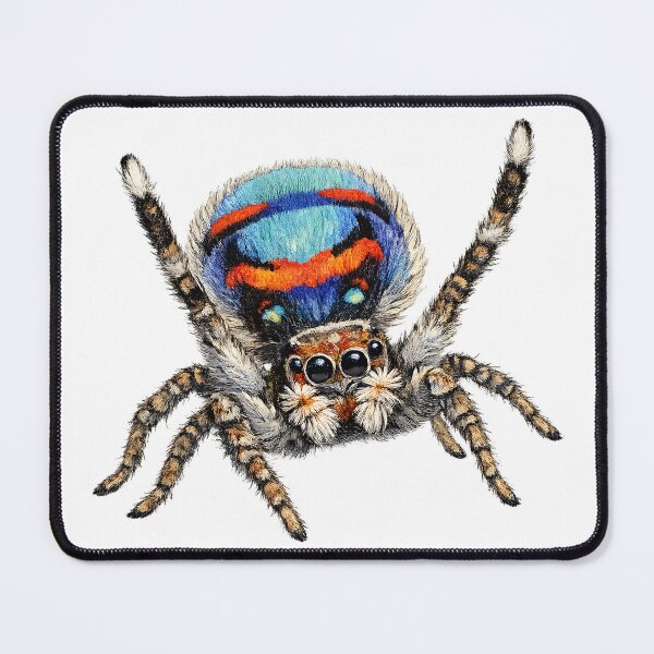 Item preview, Male Peacock Spider Illustration designed and sold by Jaruart.