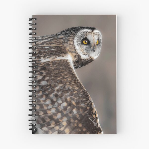 Item preview, Northern Owl Close-Up designed and sold by Minas-Photos.