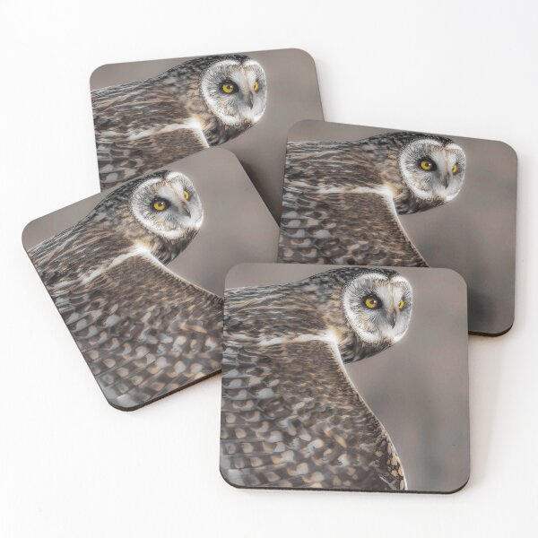 Item preview, Northern Owl Close-Up designed and sold by Minas-Photos.