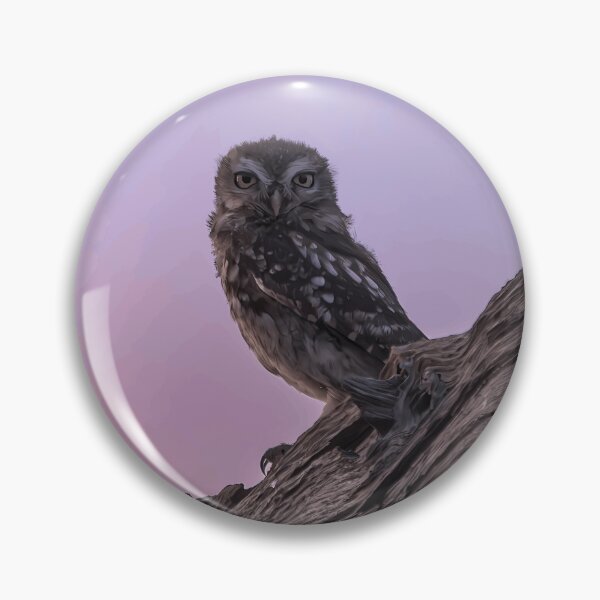 Item preview, Little Owl at Dusk designed and sold by Minas-Photos.