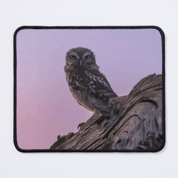 Item preview, Little Owl at Dusk designed and sold by Minas-Photos.