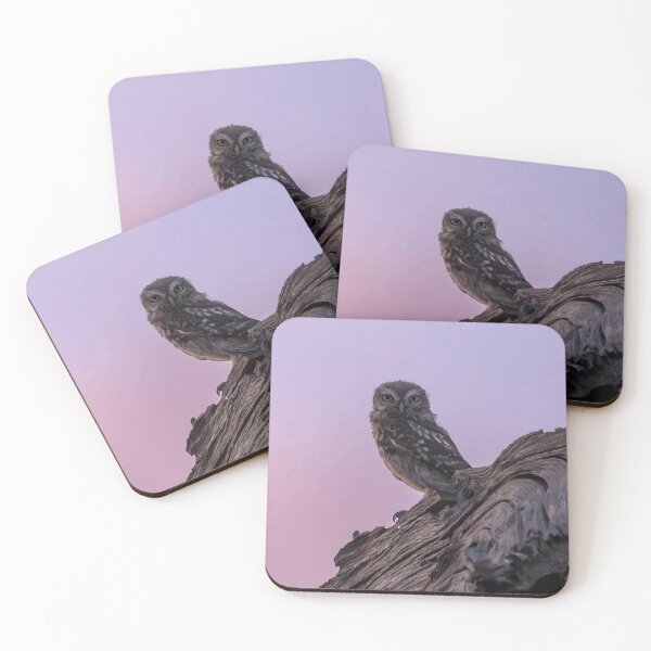 Item preview, Little Owl at Dusk designed and sold by Minas-Photos.