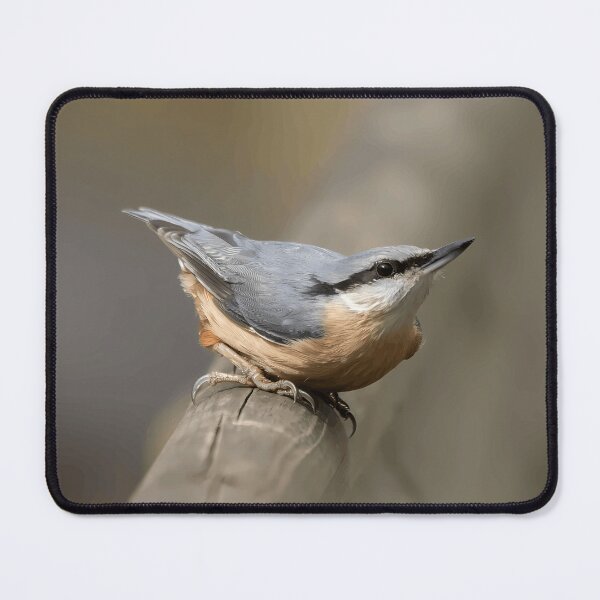 Item preview, Perched Nuthatch Bird designed and sold by Minas-Photos.