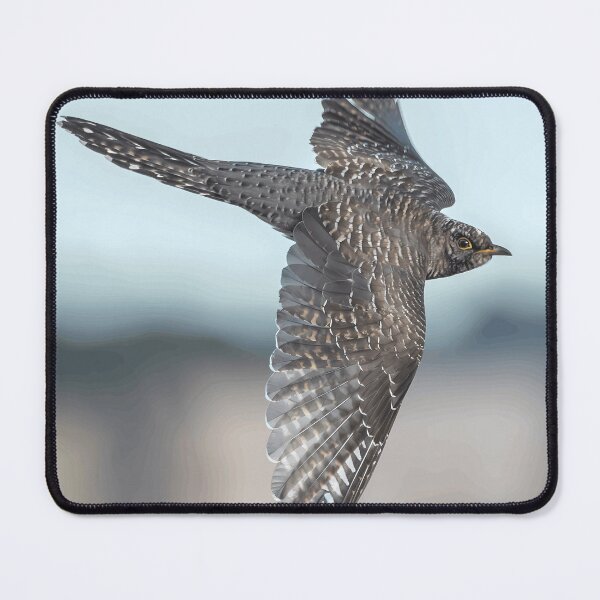 Item preview, Flying Cuckoo Bird designed and sold by Minas-Photos.