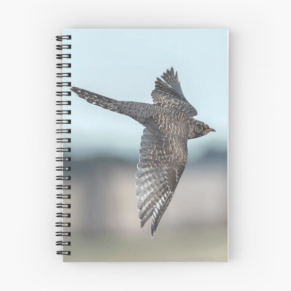 Item preview, Flying Cuckoo Bird designed and sold by Minas-Photos.