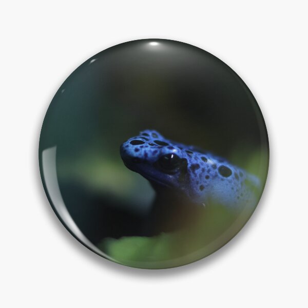 Item preview, Blue poison dart frog  designed and sold by Sianelise.
