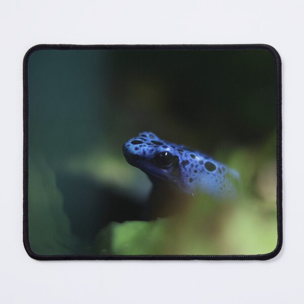 Item preview, Blue poison dart frog designed and sold by Sianelise.