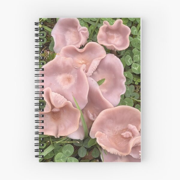 Artikelvorschau, Der Schmutzige Rötelritterling – Das subtile violette Juwel der Natur. entworfen und verkauft von Pearls1.