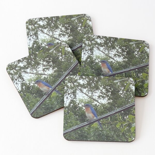 Item preview, Eastern Bluebird (Sialia sialis) – Bright Songbird of Open Fields & Backyards. designed and sold by Pearls1.
