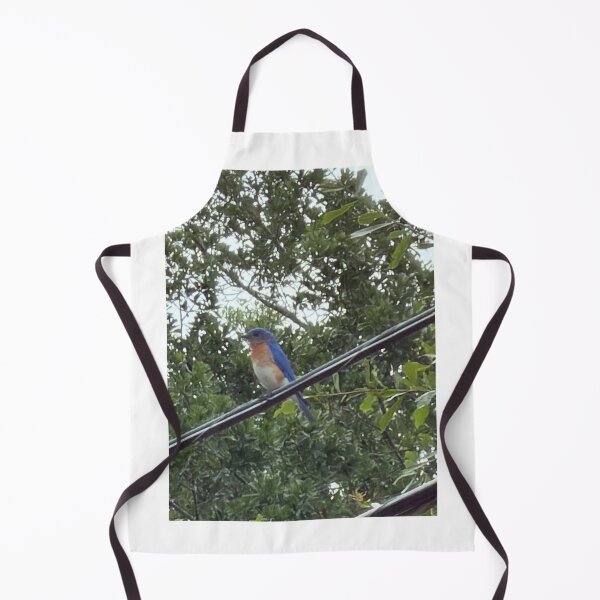 Item preview, Eastern Bluebird (Sialia sialis) – Bright Songbird of Open Fields & Backyards. designed and sold by Pearls1.