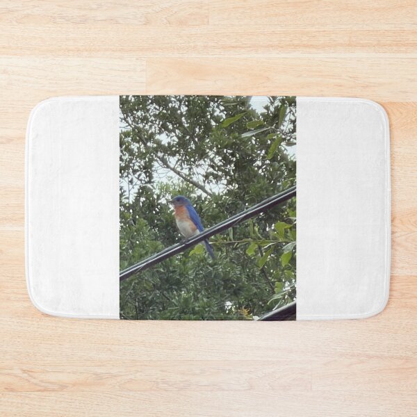 Item preview, Eastern Bluebird (Sialia sialis) – Bright Songbird of Open Fields & Backyards. designed and sold by Pearls1.