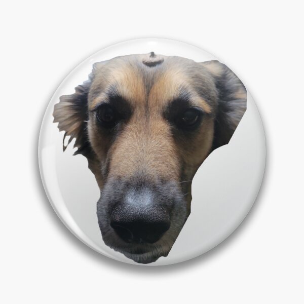 Item preview, Cute Dog with Acorn Hat designed and sold by SpiceCatStickers.