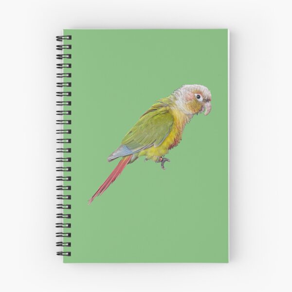 Item preview, Tropical Bird: Mango designed and sold by redhead-autumn.