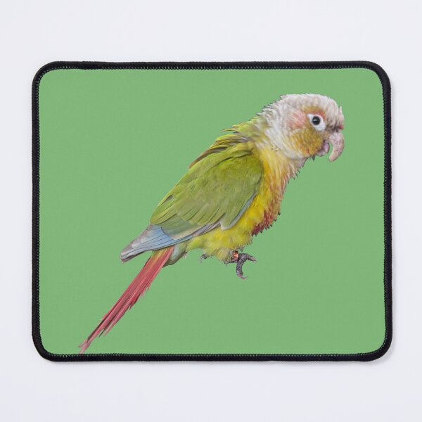 Item preview, Tropical Bird: Mango designed and sold by redhead-autumn.