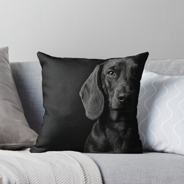 Item preview, Flash designed and sold by O-I-B-F-M-P-T-A.