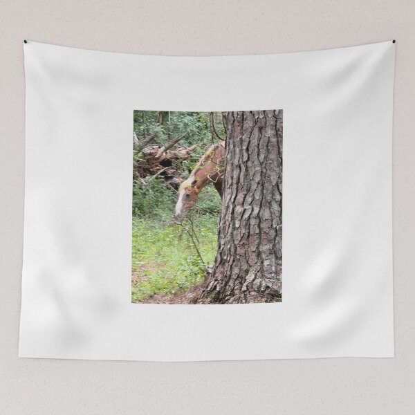 Item preview, Peek a boo pony. designed and sold by Pearls1.