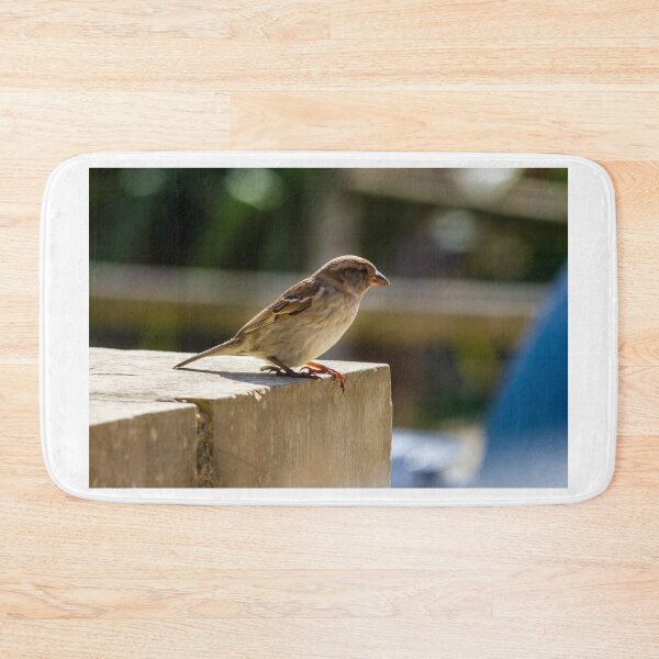 Item preview, Small Sparrow Perched on Concrete Ledge in Sunlight — Natural Urban Bird Close-Up designed and sold by Nmallia.