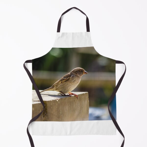 Item preview, Small Sparrow Perched on Concrete Ledge in Sunlight — Natural Urban Bird Close-Up designed and sold by Nmallia.