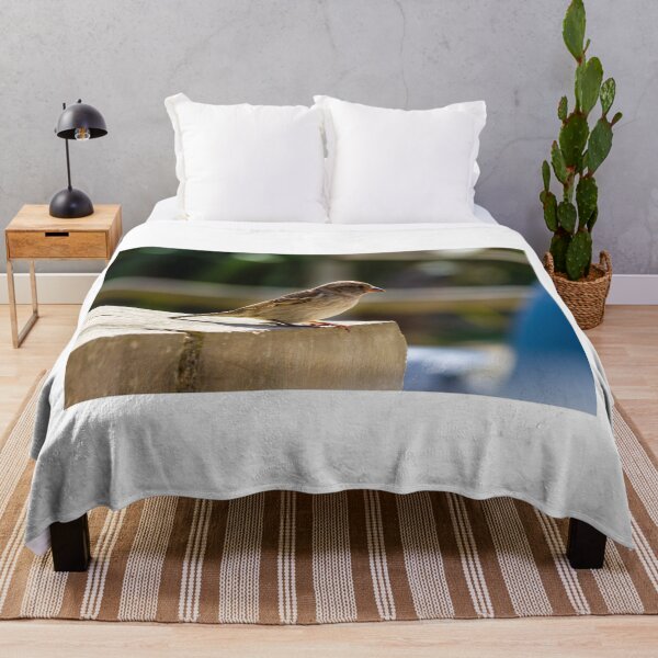 Item preview, Small Sparrow Perched on Concrete Ledge in Sunlight — Natural Urban Bird Close-Up designed and sold by Nmallia.