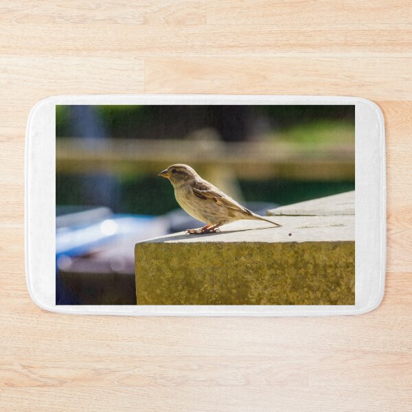 Item preview, Small Sparrow Perched on Concrete Ledge in Sunlight — Natural Urban Bird Close-Up designed and sold by Nmallia.