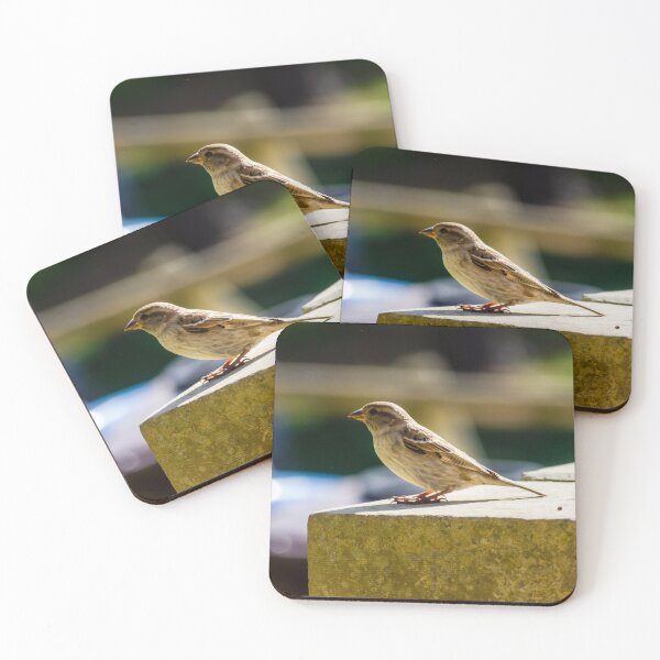 Item preview, Small Sparrow Perched on Concrete Ledge in Sunlight — Natural Urban Bird Close-Up designed and sold by Nmallia.