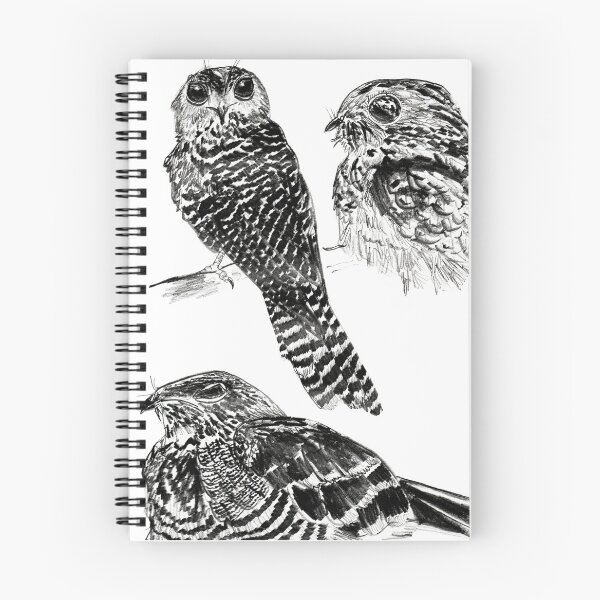 Item preview, Nightjar designed and sold by di-Vera-Rosati.