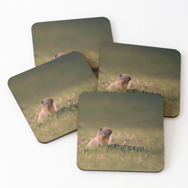 Item preview, Columbian Ground Squirrel Emerging from Burrow Athol, Idaho - Wildlife | Elwynn WildLight Photography designed and sold by Elwynn WildLight Photography.