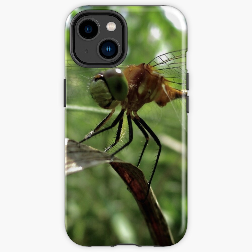 The magic smile of the dragonfly iPhone Case