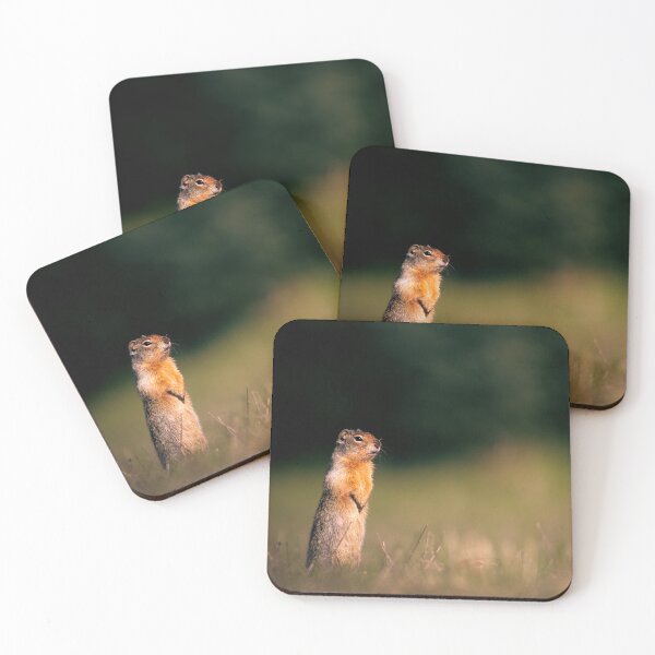 Item preview, Columbian Ground Squirrel Standing Tall Athol, Idaho - Wildlife | Elwynn WildLight Photography designed and sold by Elwynn WildLight Photography.