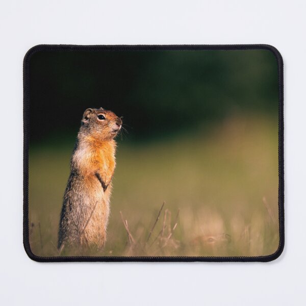 Item preview, Columbian Ground Squirrel Standing Tall Athol, Idaho - Wildlife | Elwynn WildLight Photography designed and sold by Elwynn WildLight Photography.