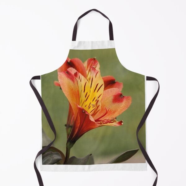 Item preview, Inca lily designed and sold by MS.photo.