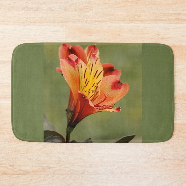 Item preview, Inca lily designed and sold by MS.photo.