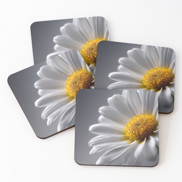 Item preview, Minimal White Daisy Close-up | Clean Fine Art designed and sold by SlowRegardArt.