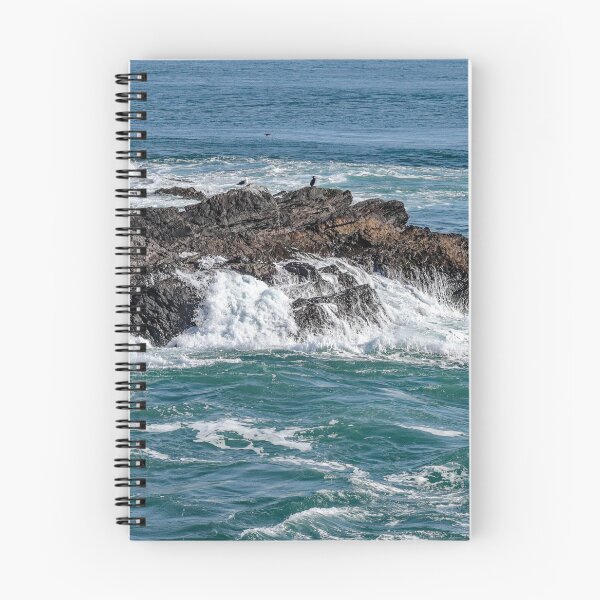 Item preview, Gannet over the Irish Sea designed and sold by Raymond Kerr.