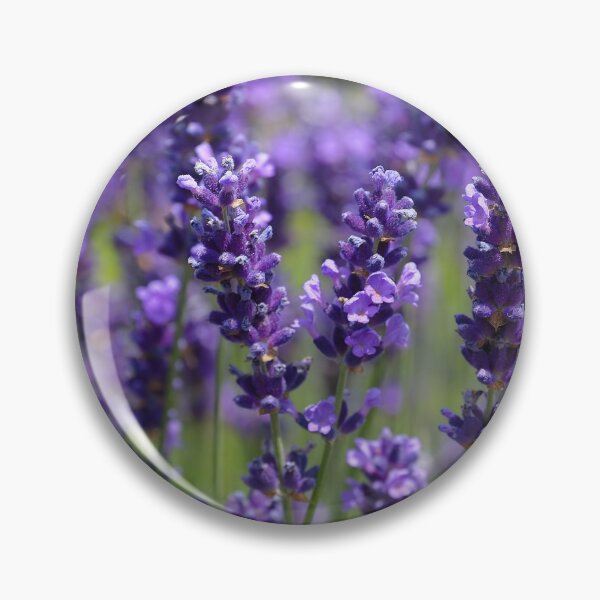 Item preview, Lavender field designed and sold by AsahiNoAme.