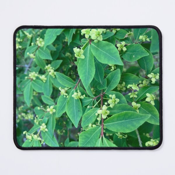 Item preview, Green Flowers designed and sold by Amanda1775.
