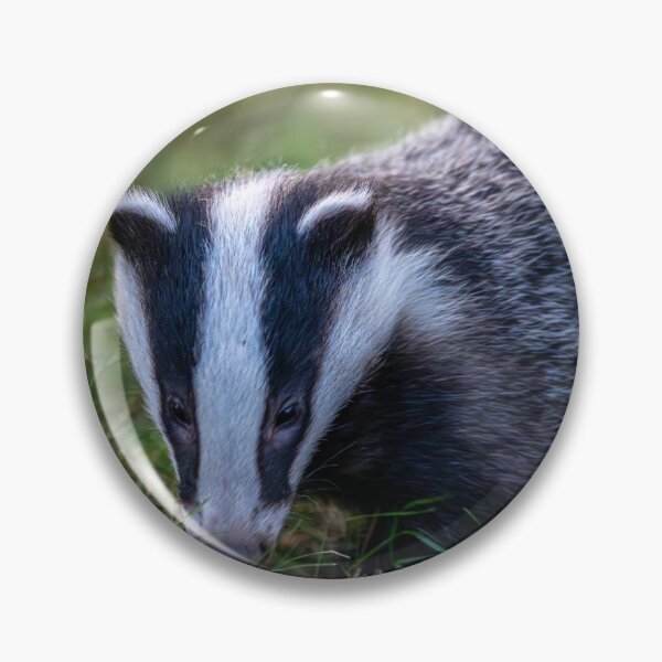 Item preview, Badger  designed and sold by Flyal4.