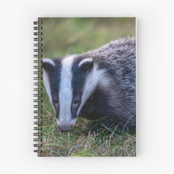 Item preview, Badger  designed and sold by Flyal4.