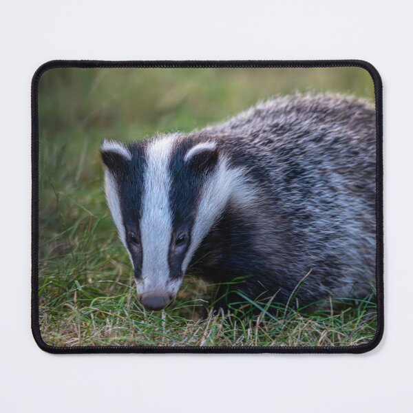 Item preview, Badger  designed and sold by Flyal4.