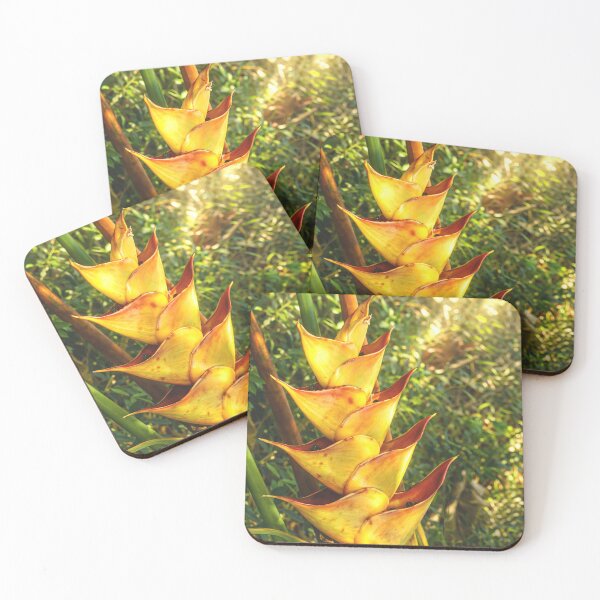 Item preview, Rainforest Flower in El Yunque Puerto Rico designed and sold by www.elyunqueprints.store.
