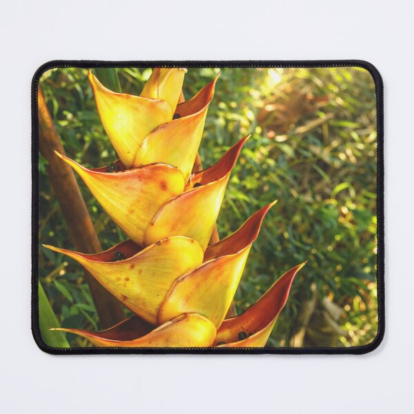 Item preview, Rainforest Flower in El Yunque Puerto Rico designed and sold by www.elyunqueprints.store.