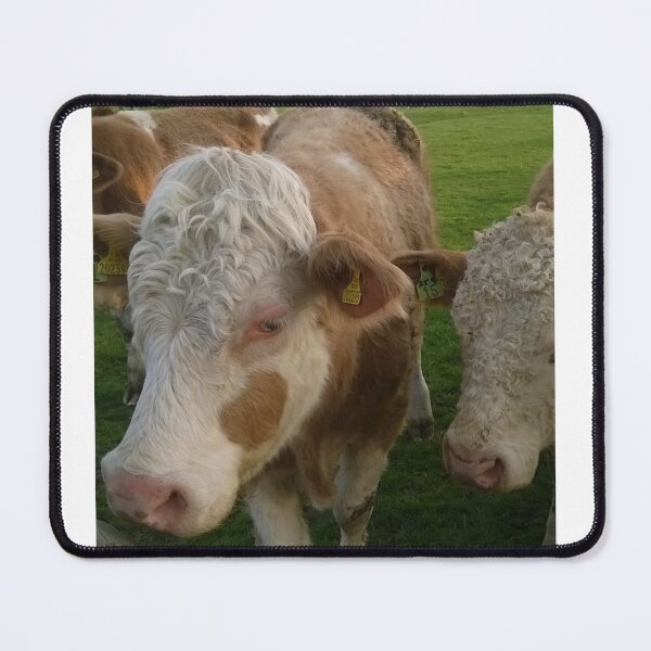 Item preview, Excuse Me, Do You Have Snacks? designed and sold by pasalagabriela.