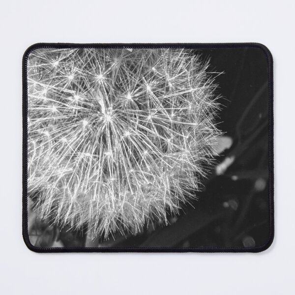 Item preview, A dandelion in black and white designed and sold by nicwoodart.