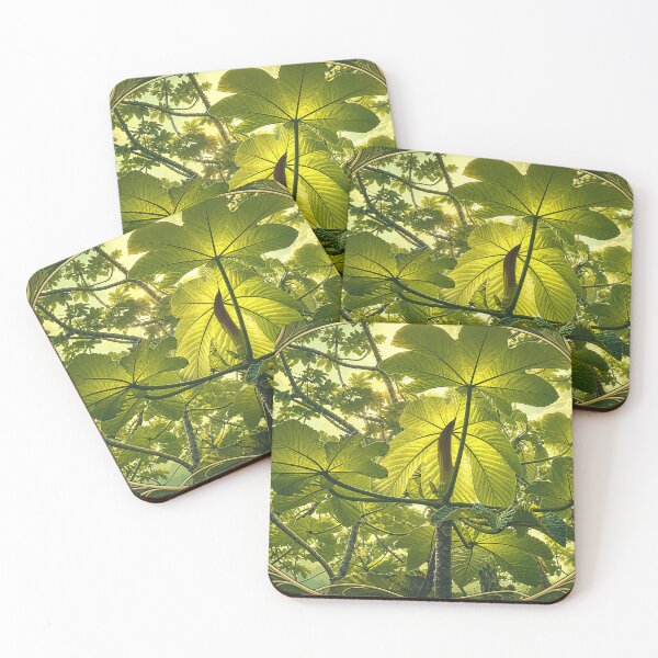 Item preview, The Yagrumo Tree in Toro Negro Rainforest designed and sold by www.elyunqueprints.store.