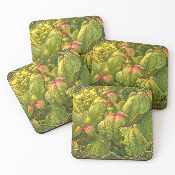 Item preview, Amazing plants of the Rainforest - Toro Negro Puerto Rico designed and sold by www.elyunqueprints.store.