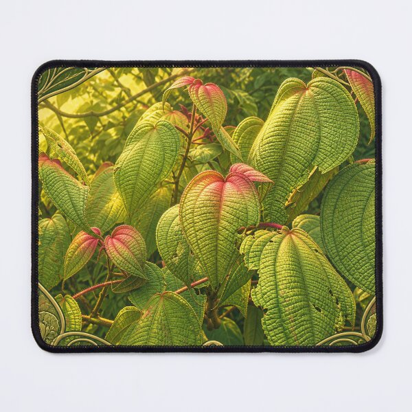 Item preview, Amazing plants of the Rainforest - Toro Negro Puerto Rico designed and sold by www.elyunqueprints.store.