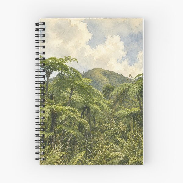 Item preview, The Fern Palm in Toro Negro Rainforest - Puerto Rico - Nikon D850 designed and sold by www.elyunqueprints.store.