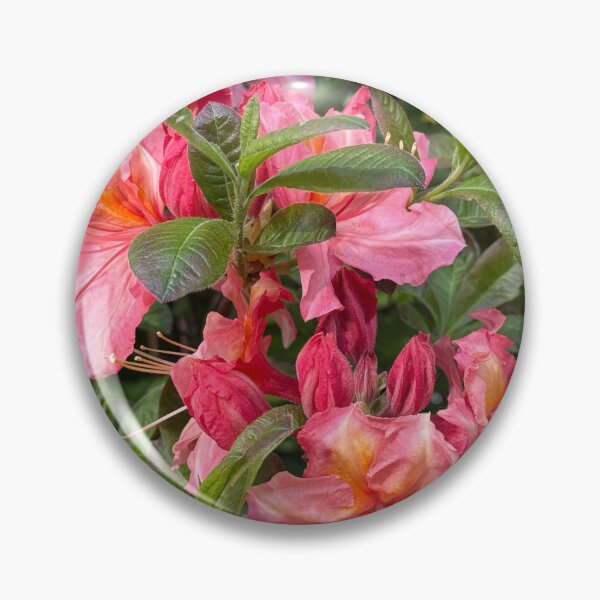 Item preview, Vibrant Pink Azalea Blooms designed and sold by veraD58.