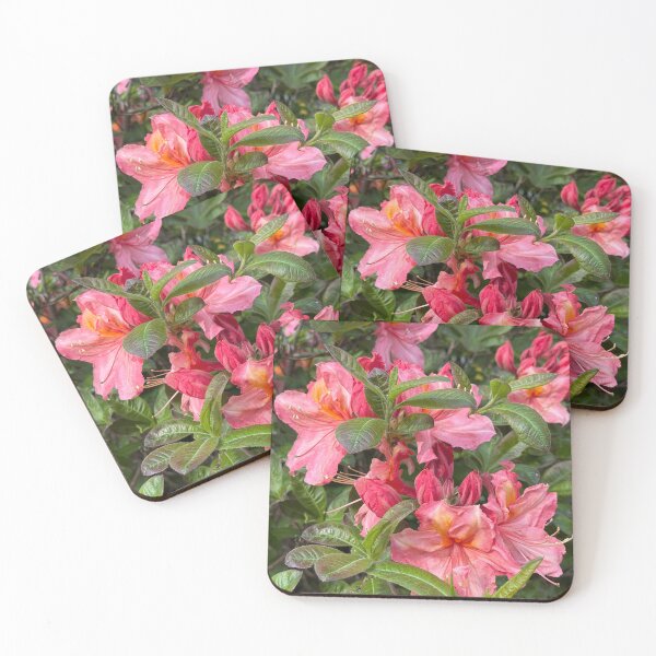 Item preview, Vibrant Pink Azalea Blooms designed and sold by veraD58.